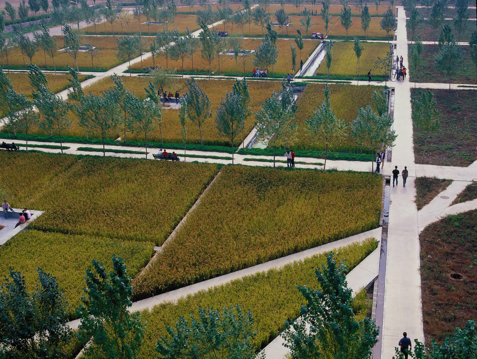 Shenyang Architectural University Campus