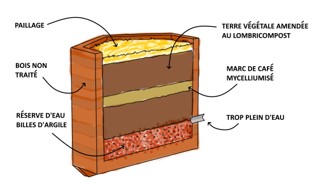 Forest-bed-shema-cueillette-urbaine