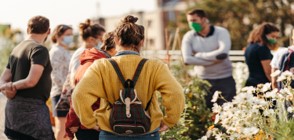 Potagers-participatifs-cueillette-urbaine