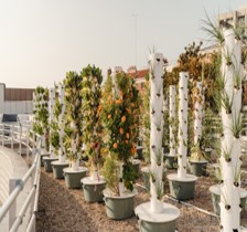 Tower-Garden-Cueillette-Urbaine